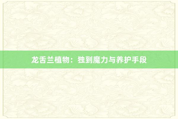 龙舌兰植物：独到魔力与养护手段