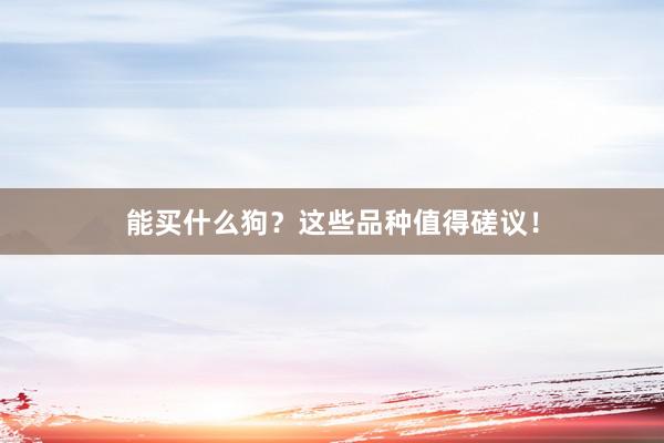 能买什么狗?这些品种值得磋议!
