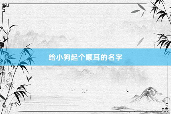 给小狗起个顺耳的名字