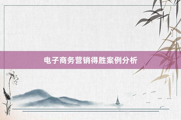 电子商务营销得胜案例分析